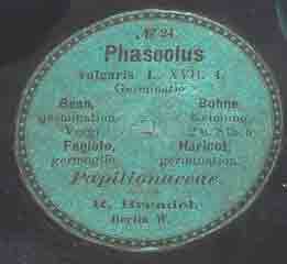 Etikette Phaseolus