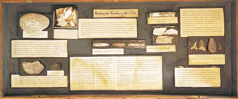 Historische Vitrine