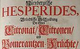 Hesperides
